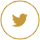 twitter-icon